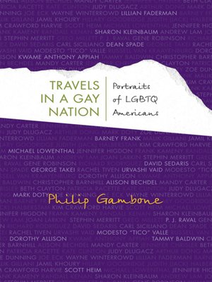 cover image of Travels in a Gay Nation